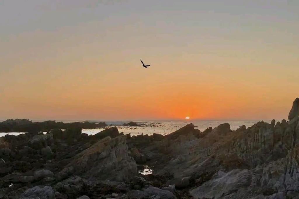 Hermanus Sea View Room Εξωτερικό φωτογραφία